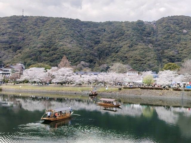 曰本文化味濃的世外桃源~岩國市錦带橋