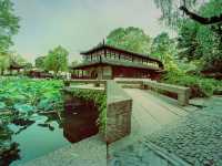 Serenity in Suzhou