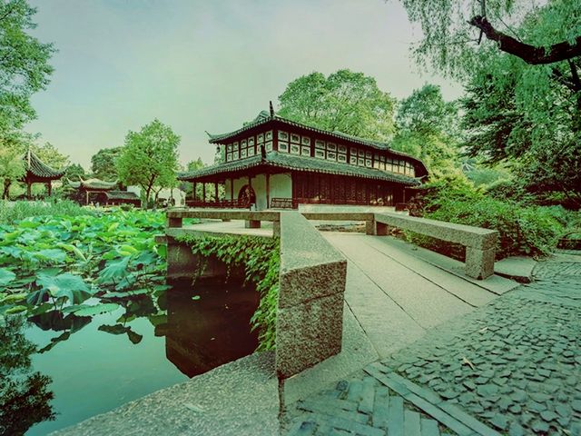 Serenity in Suzhou