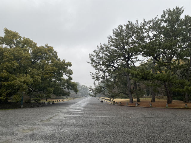 京都御苑：井井有條的靈氣之地 🌿🏯