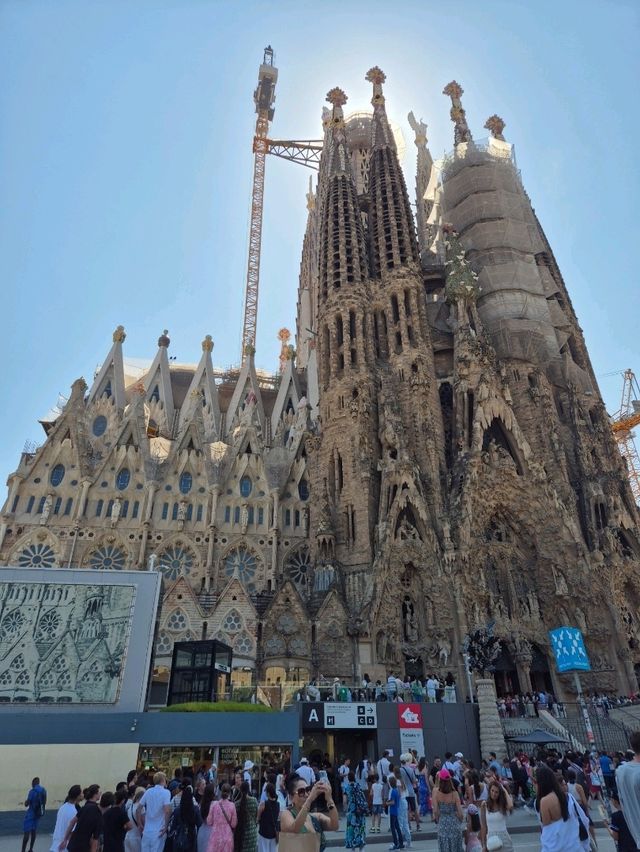 ⛪️바르셀로나의 대표 관광지 사그라다 파밀리아 성당⛪️