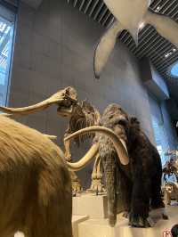 พาทัวร์ 📍Shanghai Natural History Museum