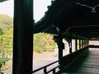 日本京都著名景點：清涼寺，適合打卡拍照📸