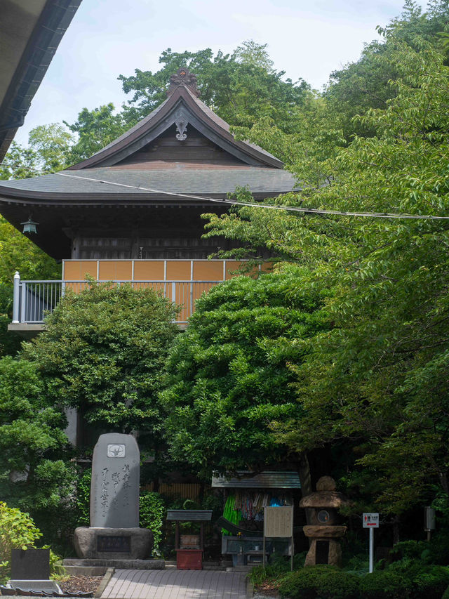 街の高台にたたずむ、大船観音寺の白い観音様🙏