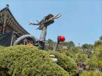 釜山櫻花季滿滿幸褔的海邊廟宇~海東龍宮寺