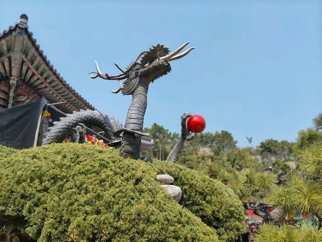 釜山櫻花季滿滿幸褔的海邊廟宇~海東龍宮寺