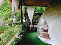 The Forest Camp เขาใหญ่
