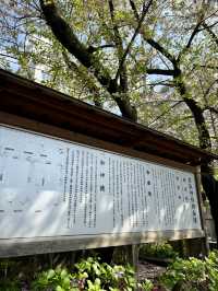 Spring Vibes at Kameido Katori Shrine