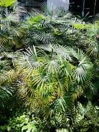 The Gardens Mall: Where Sustainability Blooms Naturally