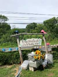 ร้านกาแฟในป่า บ้านไร่ใบเฟิร์น⛰️