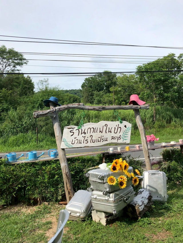 ร้านกาแฟในป่า บ้านไร่ใบเฟิร์น⛰️