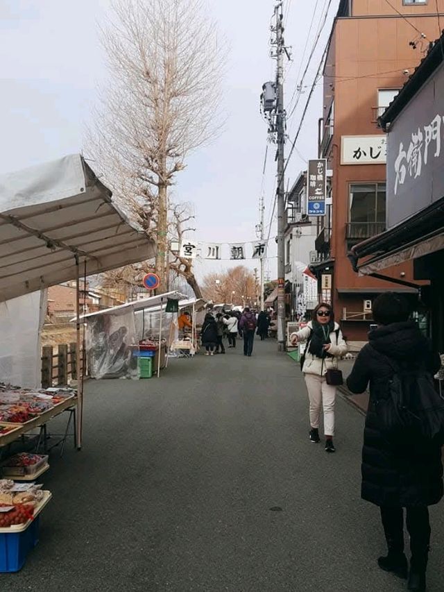 高山的美，一定要來這裡親身體會