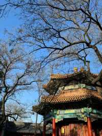 Yonghe Temple: Where History Meets Harmony