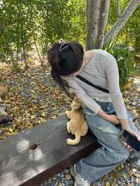 คาเฟ่มัทฉะเขาใหญ่ สายมัทฉะห้ามพลาด!!!