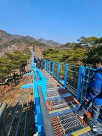 👉👉원주 소금산 출렁다리 케이블카