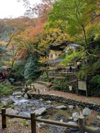 大阪郊區秘境一日遊，勝尾寺祈福 × 箕面瀑布森林漫步