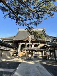【千葉】続く参道に並ぶ灯篭 が美しい景観