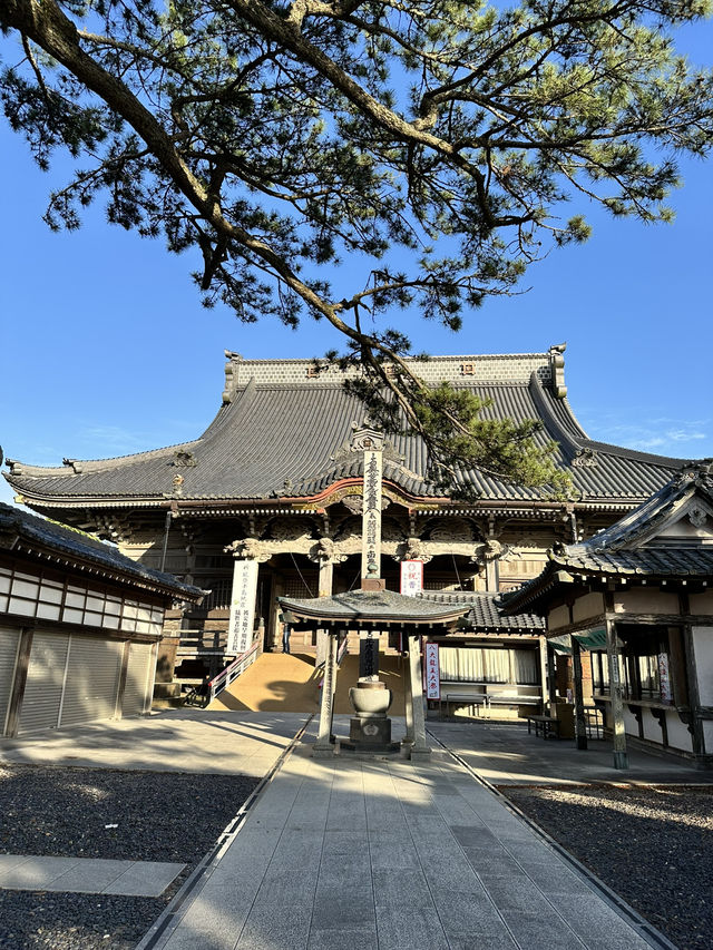 【千葉】続く参道に並ぶ灯篭 が美しい景観