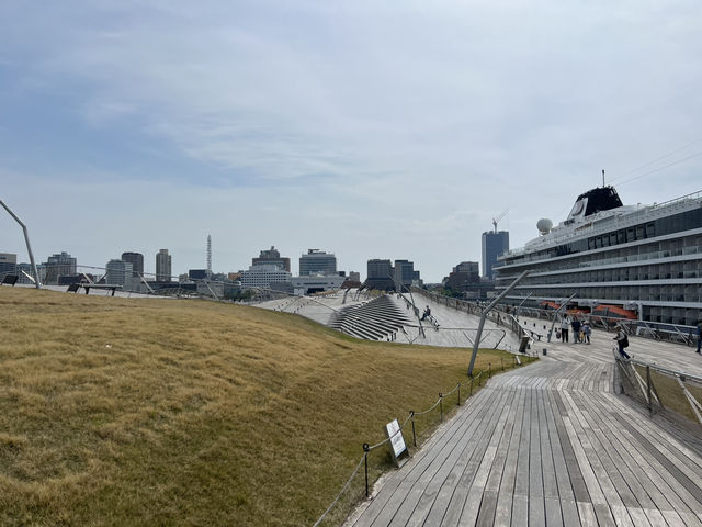 横浜🇯🇵くじらのせなか