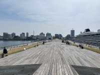 横浜🇯🇵くじらのせなか