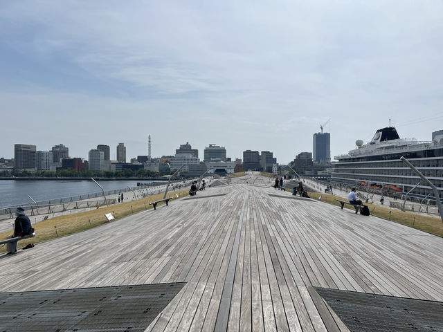 横浜🇯🇵くじらのせなか