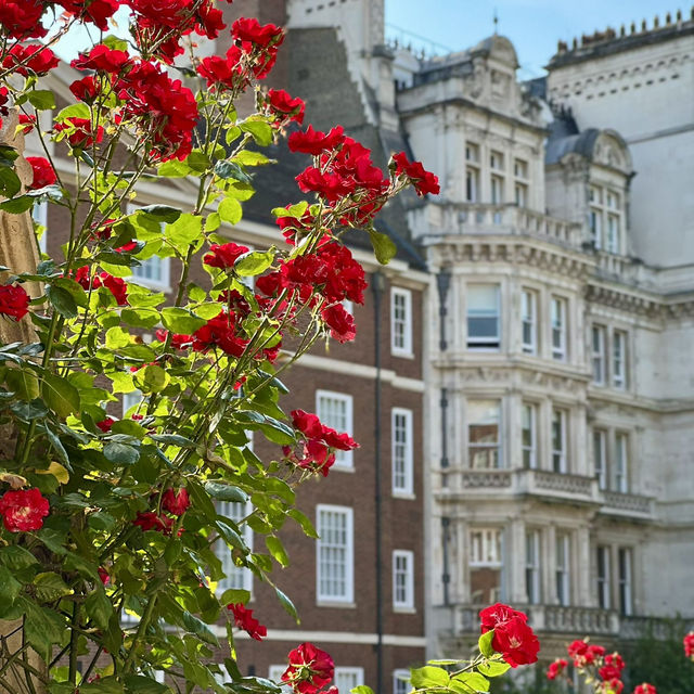 Hollywood & History: Hidden London 