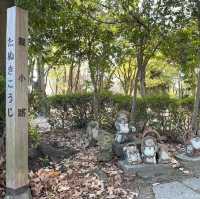 日本大仙公園💕避開人流好去處