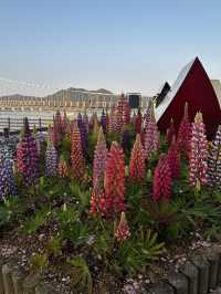 Yesan Park to visit