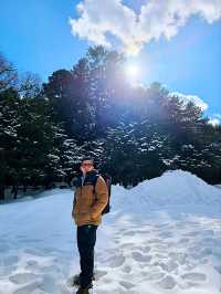 Sacred Winter Serenity at Hokkaido Shrine: A Snow‑Cloaked Shinto Retreat
