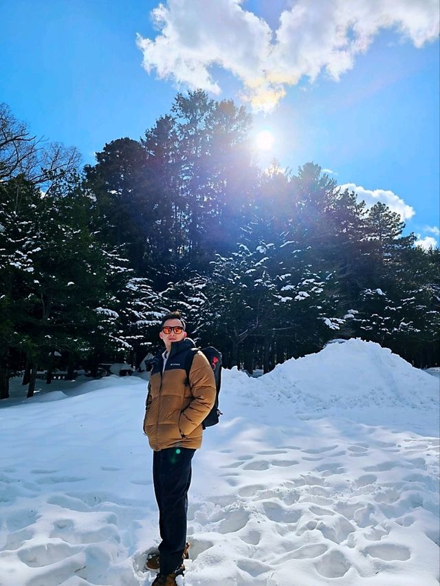 Sacred Winter Serenity at Hokkaido Shrine: A Snow‑Cloaked Shinto Retreat
