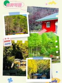 Onbit Natural Recreation Forest: An April Retreat to Lakeside Tranquility and Historic Charm 🌳🏡 