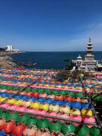 Spring Magic at Korea’s Most Beautiful Seaside Temple 