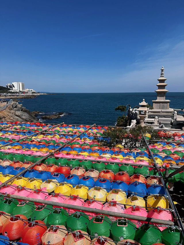 Spring Magic at Korea’s Most Beautiful Seaside Temple 
