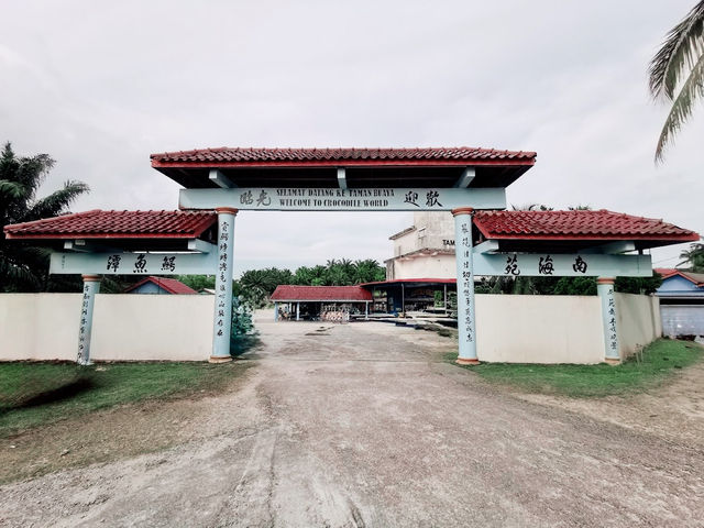 🐊 Teluk Sengat Crocodile Farm: A Solo Traveller’s Wild (and Slightly Terrifying) Adventure