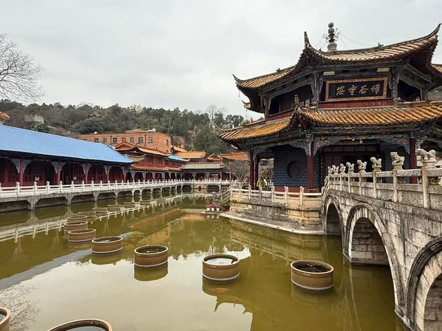 “Spring Serenity: Cherry Blossoms in the Heart of Kunming’s Temples”