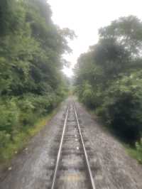 【JR東日本】長野の高原を走るJR小海線