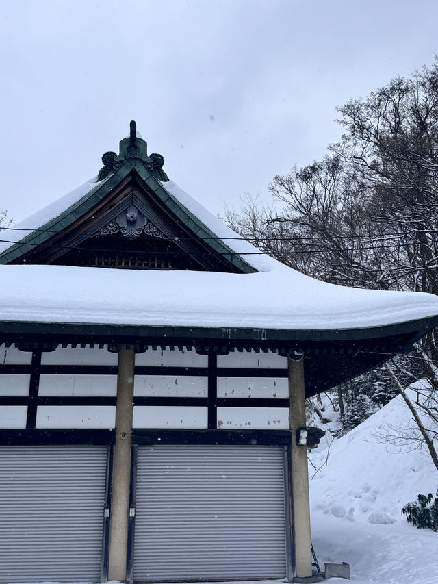 일본에서 자주 방문하는 이 4곳은 다 다릅니다! 알고 가세요!