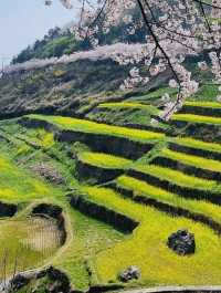 Nature's Staircase: A Journey Through Darangyi's Rice Terraces 