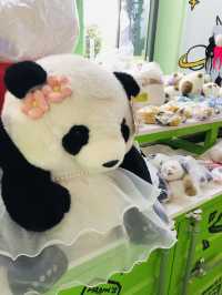 很多熊貓🐼的精品 愛不釋手