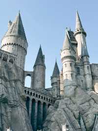 Universal Beijing Resort 🎢✨