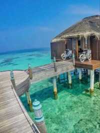 🏝️✨ Dive into Paradise: My Magical Journey in the Maldives! ✨🏝️