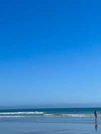 🏖️ Coronado Central Beach, 샌디에고의 럭셔리 해변!