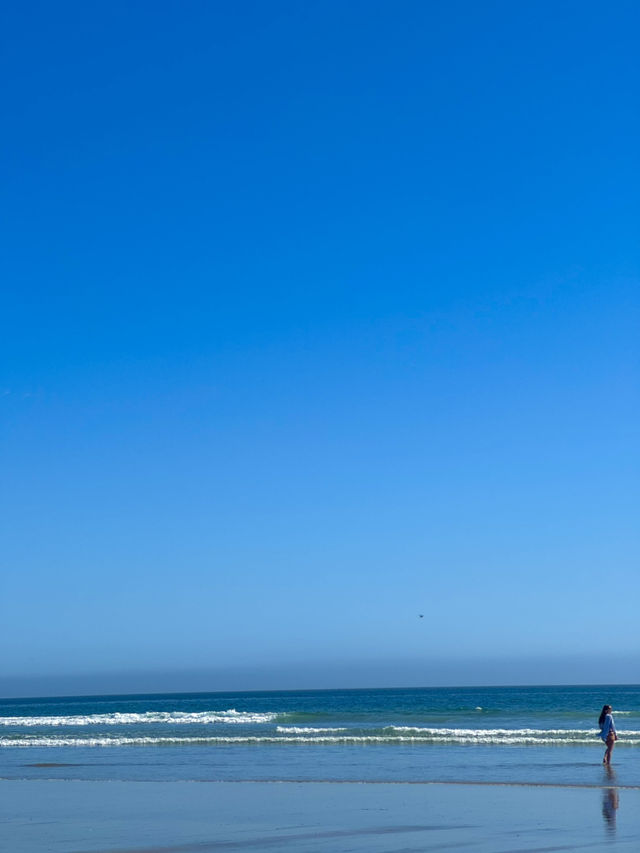 🏖️ Coronado Central Beach, 샌디에고의 럭셔리 해변!
