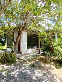 Verdurous House |พัทลุง