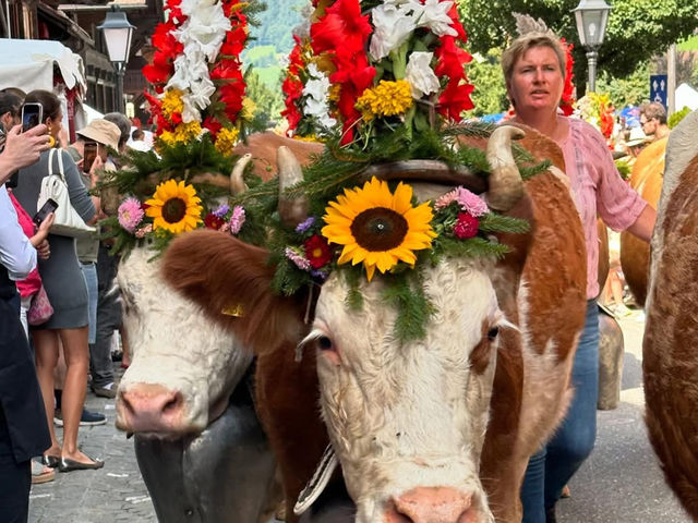 My 3-Day Itinerary at the Alpabzug Festival in Switzerland