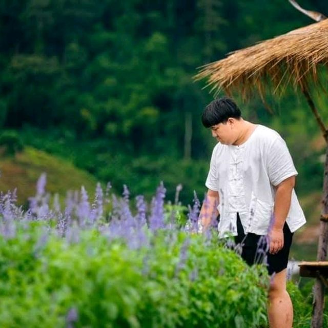 สวนดอกไม้ ป้างฮวา 🌺 l เชียงใหม่