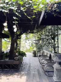 คาเฟ่ที่ปกคลุมไปด้วยต้นไม้ ที่บ้านบึง ชลบุรี