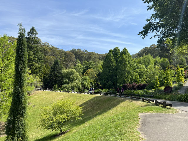 Adelaide Hills Botanic Garden: A Nature Lover’s Hidden Paradise