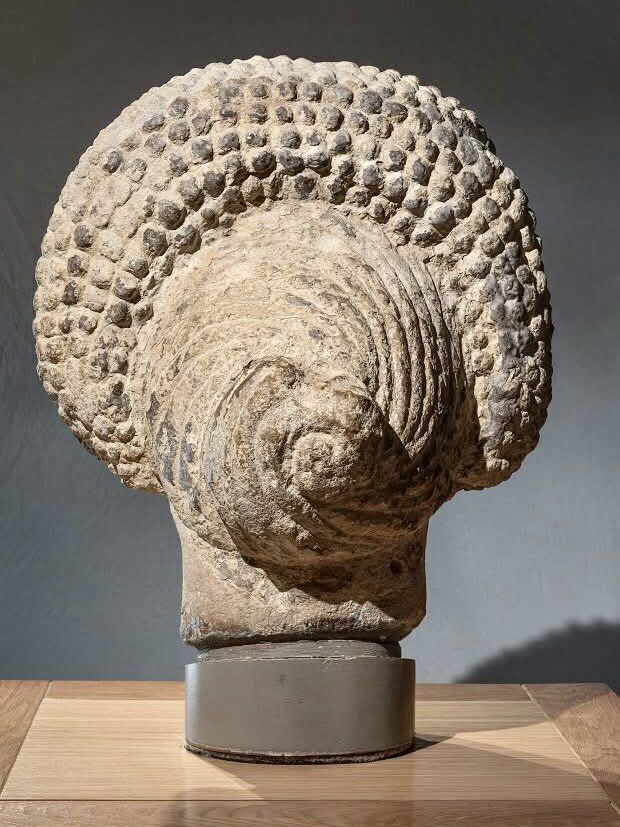 A Step Back in Time at the Roman Baths 