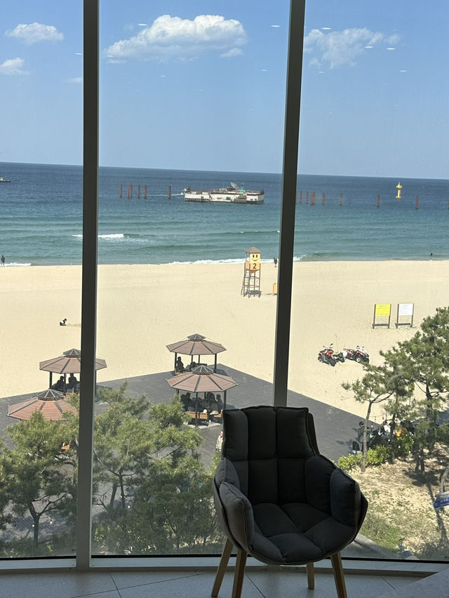 반짝반짝 빛나는 아름다운 삼척해변을 보며 🌅빵과 커피를 즐길 수 있는 삼척 카페여행가이드